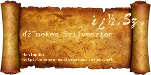 Énekes Szilveszter névjegykártya